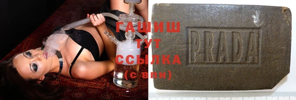 шишки Снежногорск