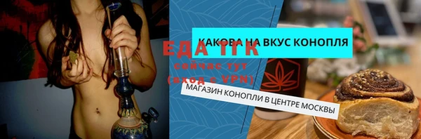 шишки Снежногорск