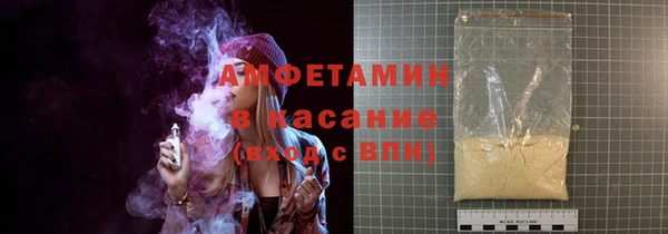шишки Снежногорск