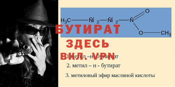 прущие грибы Кирсанов