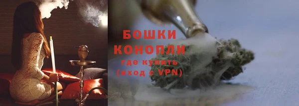 шишки Снежногорск