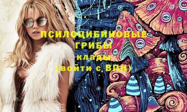 винт Слюдянка