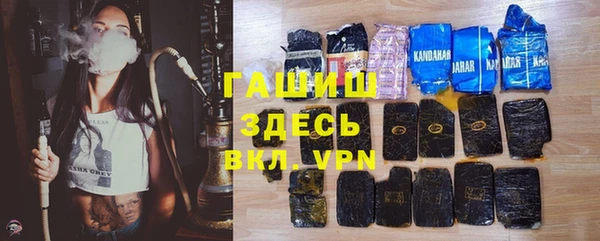 шишки Снежногорск