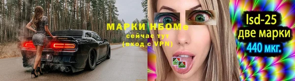 прущие грибы Кирсанов