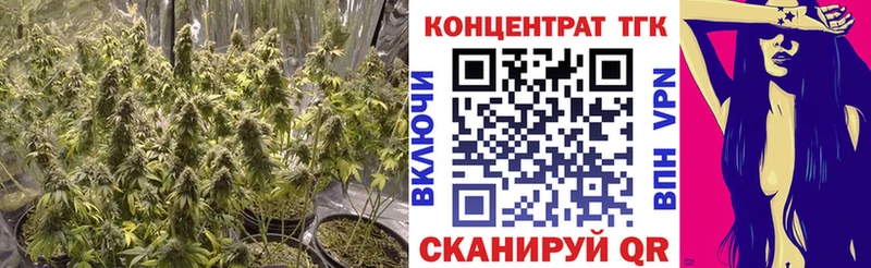 Купить где  Кадников  Дистиллят ТГК вейп с тгк 