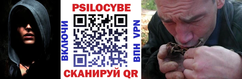 Галлюциногенные грибы Magic Shrooms  Купить  Кадников 